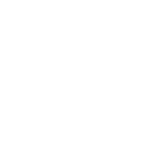 msg insurit Logo